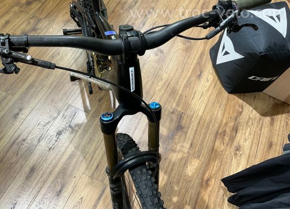 Orbea Wild M-LTD 2025 - 4