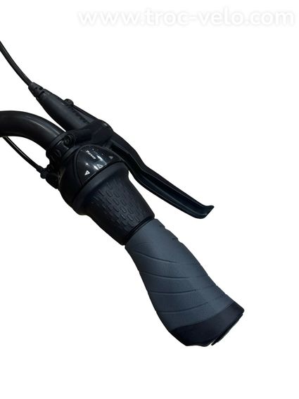 Gazelle Arroyo C7+ HMB Elite Vélo électrique Shimano Nexus 2022 - 8