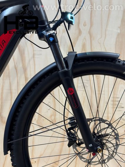 Victoria eAdventure 11.9 Vélo électrique Shimano Nexus 2022 - 3