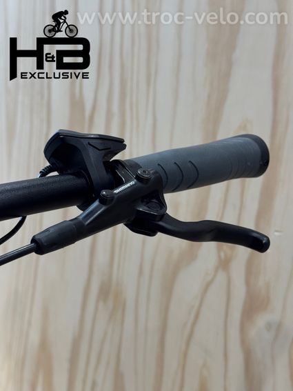 Victoria eAdventure 11.9 Vélo électrique Shimano Nexus 2022 - 6
