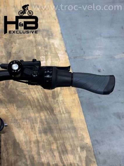 Victoria eAdventure 11.9 Vélo électrique Shimano Nexus 2022 - 8