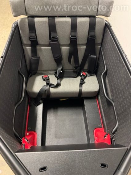 Vélo Cargo Riese & Muller Packster 70 family - 5