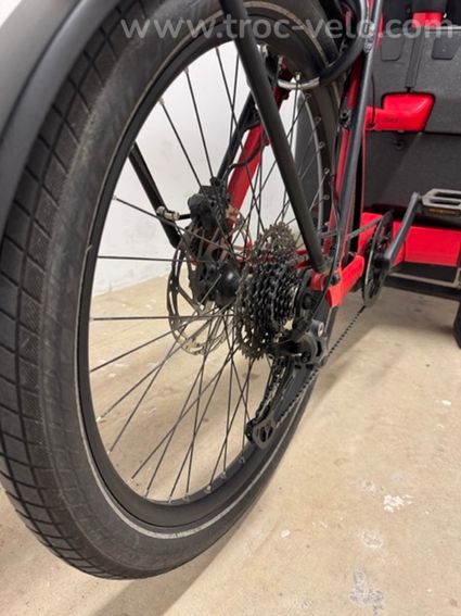 Vélo Cargo Riese & Muller Packster 70 family - 7