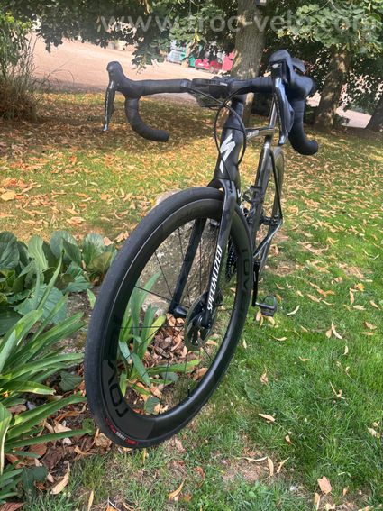 Roubaix team - 3
