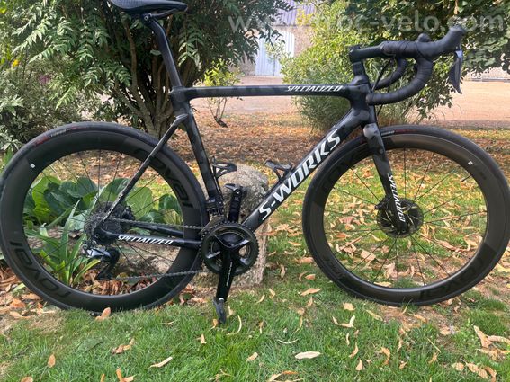 Roubaix team - 4