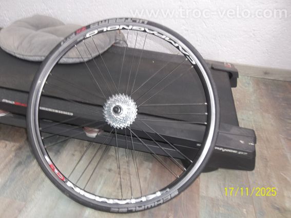PINARELLO CARBONE - 10