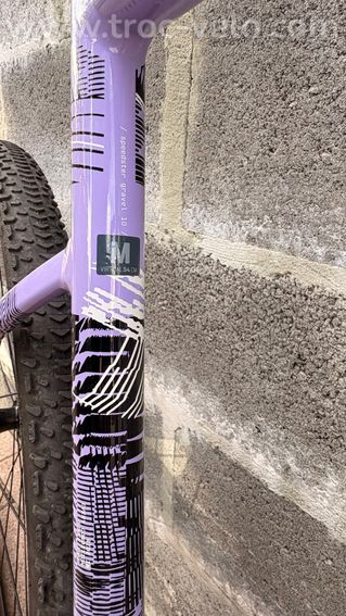 Gravel Scott speedster 10 2026 - 4