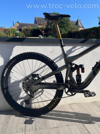 Pivot Firebird  - 3