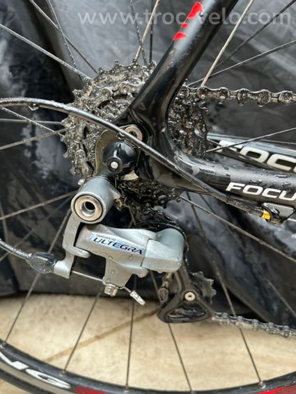 Focus cayo ultegra - 5