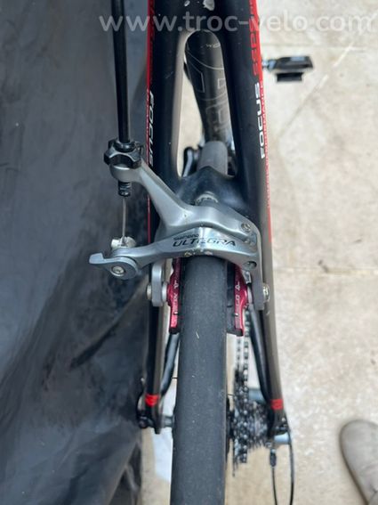 Focus cayo ultegra - 6