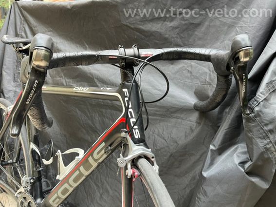 Focus cayo ultegra - 7