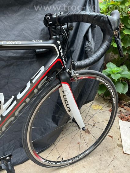 Focus cayo ultegra - 8