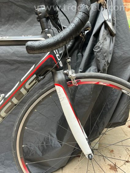 Focus cayo ultegra - 10