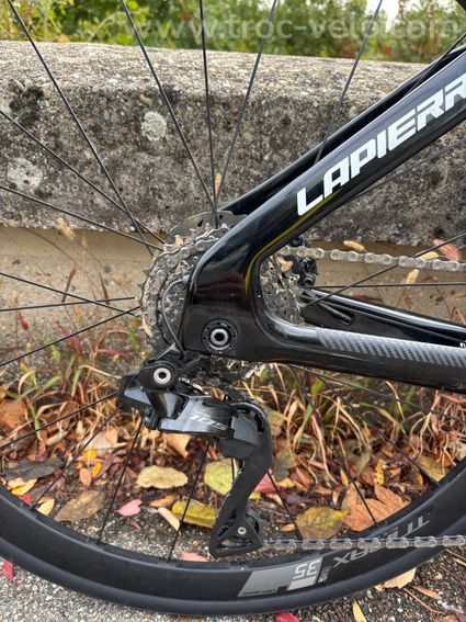 Lapierre aerostome - 2