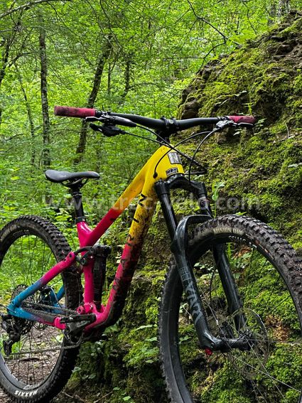 VTT marin bike alpine trail fun