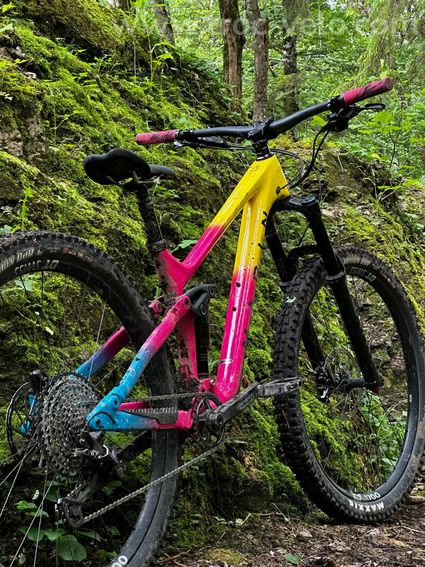 VTT marin bike alpine trail fun - 2