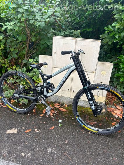 VTT Polygon Colossus DH7 2019 custom taille m - 2