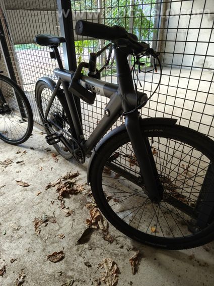 Vélo électrique BIRD – - 3