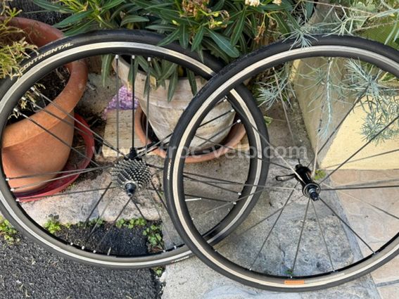 roue shamal