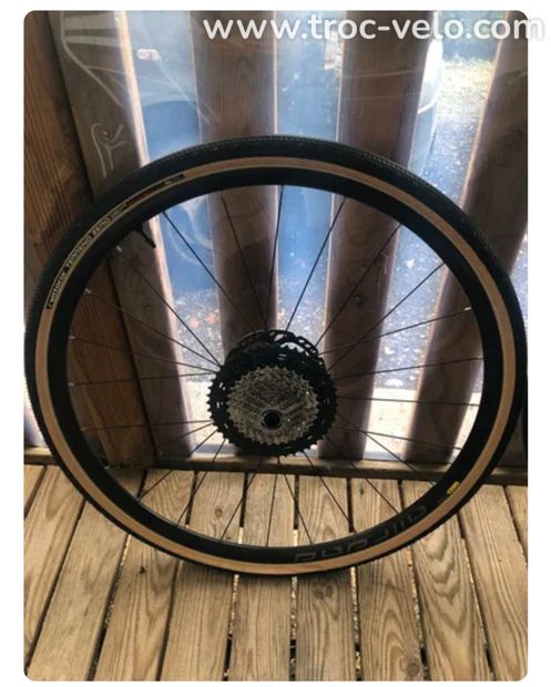 Roues Mavic Allroad gravel  - 2