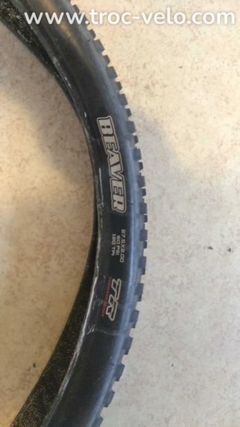 Beaver boue Maxxis Beaver 27.5 2.0 - 1