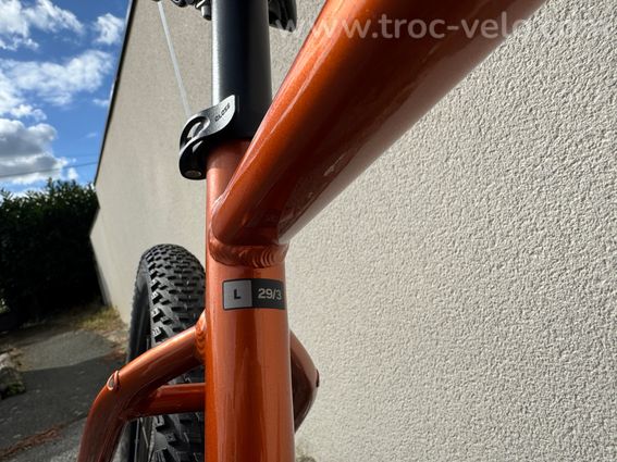 VTT Giant Talon Taille L - 3