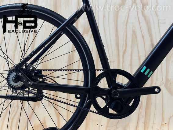Tenways CGO600 Vélo électrique Single-Speed 2023 - 12