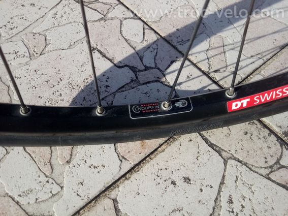 Roue DT Swiss XR400 - 3