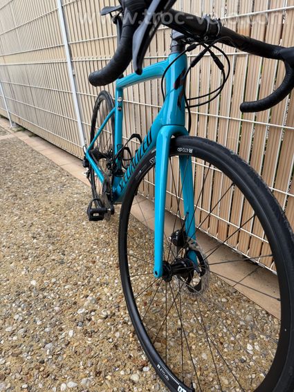 Tarmac Sl6 sport disc - 2
