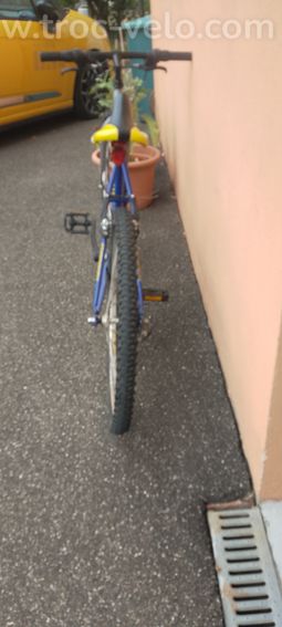 Vtt Globe trotter  - 4