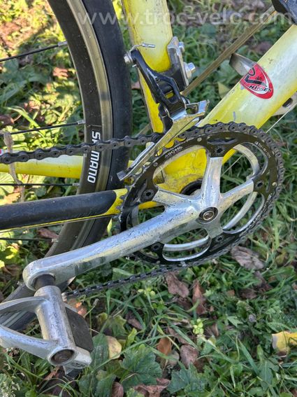 Velo Giant