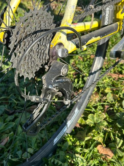 Velo Giant - 2