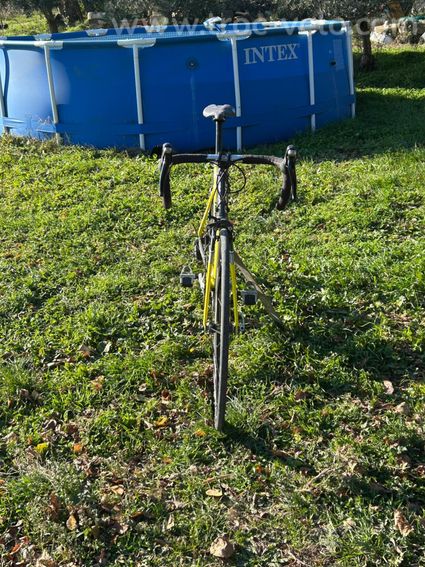 Velo Giant - 4