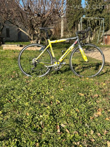 Velo Giant - 5