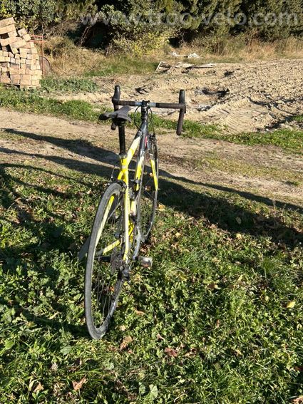 Velo Giant - 7
