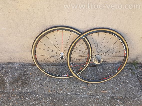 Vision T24 Carbone - 2