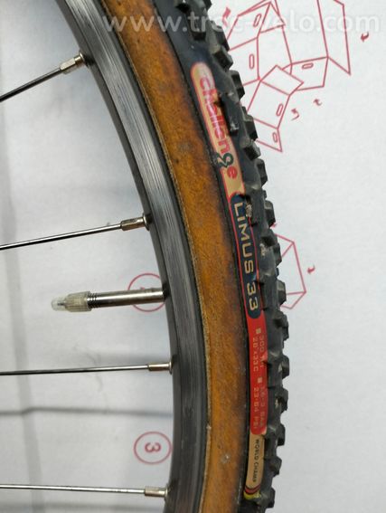 Roue AR moyeux 105 jante Mavic Reflex - 5