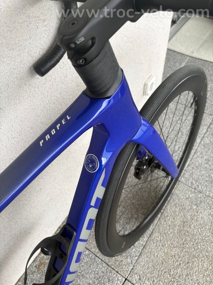 Giant propel advanced 1 // 2024 // M - 7