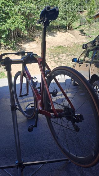 Velo TREK Madonne 2019 patins - 7