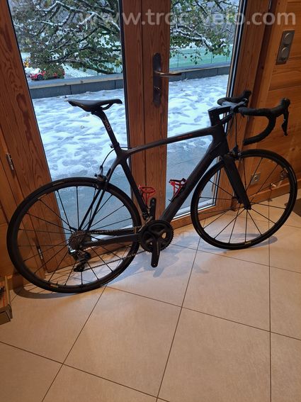 Flanders Carbone