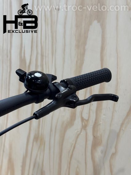 Rose Xtra Watt EVO Plus 2 Vélo électrique Shimano Alfine 2023 - 7