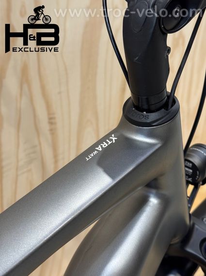 Rose Xtra Watt EVO Plus 2 Vélo électrique Shimano Alfine 2023 - 10