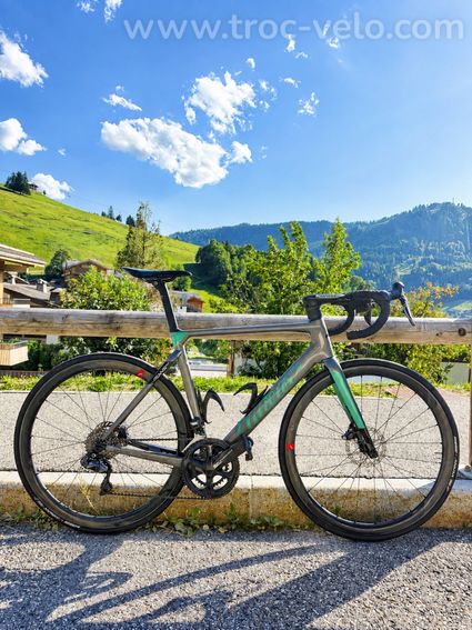 WILIER Filante T56