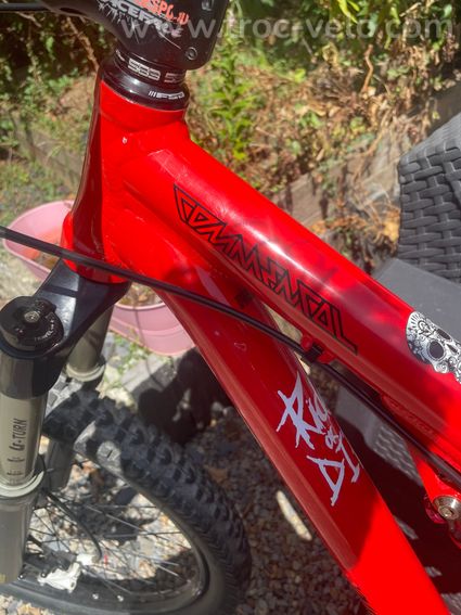 Commencal Absolut SX  - 6