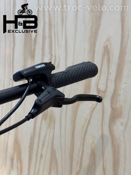 Raymon Crossray E 3.0 Vélo électrique Shimano Alivio 2022 - 6