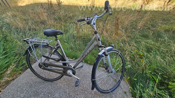 Gazelle Paris+ Ville femme gris – 7 vitesses Shimano – Freins hydrauliques – Très bon état