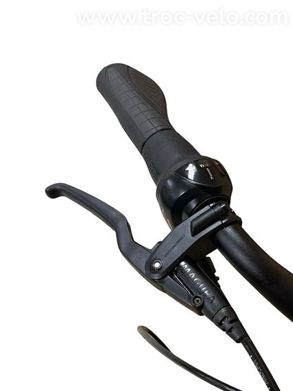 Hercules Rob Fold F7 Vélo électrique Shimano Nexus 2023 - 5