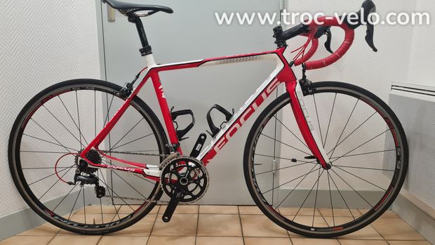 Focus Cayo Evo 54 (M) Carbone Ultegra - 1