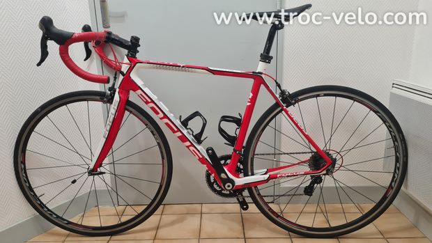 Focus Cayo Evo 54 (M) Carbone Ultegra - 2