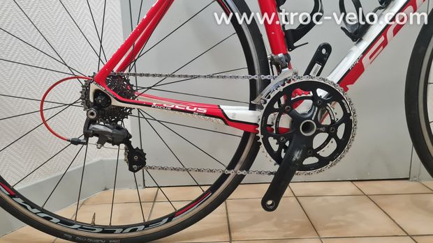 Focus Cayo Evo 54 (M) Carbone Ultegra - 5